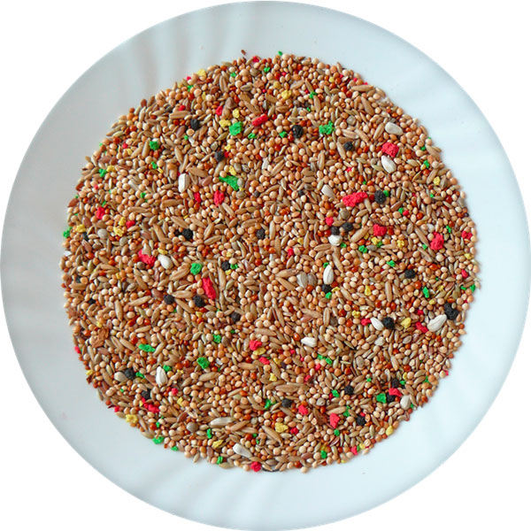 andulka-deluxe-e0u624178r-(1)