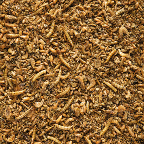 Versele-Laga NutriBird Insect Patee Premium – 5kg