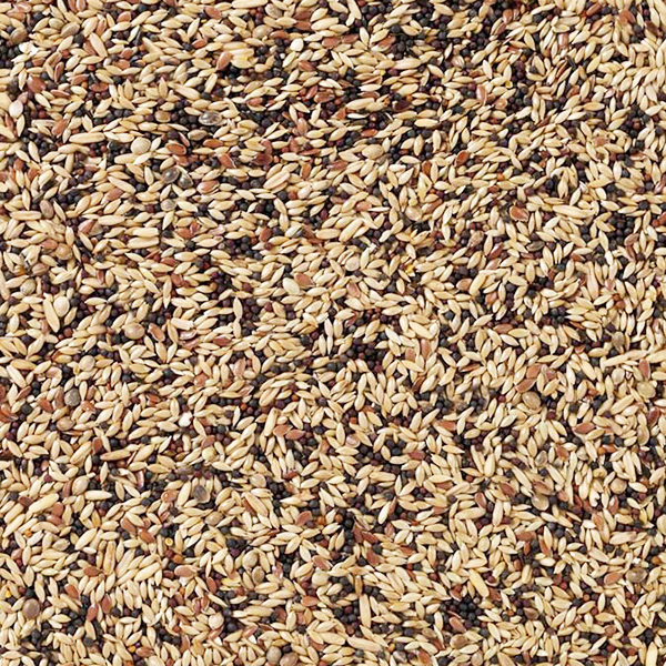 Deli Nature 53 Kanári Extra 01 Deli Nature 53 Kanári Extra 01