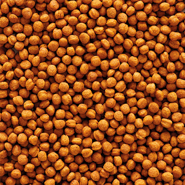 Versele-Laga T16 Pellet Nagytestű Gyümölcsevő és Rovarevő Madaraknak 01 Versele-Laga T16 Pellet Nagytestű Gyümölcsevő és Rovarevő Madaraknak 01