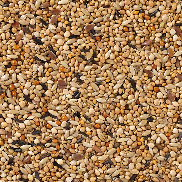 Deli Nature 41 Exota Breeding - 20kg 01 Deli Nature 41 Exota Breeding - 20kg 01