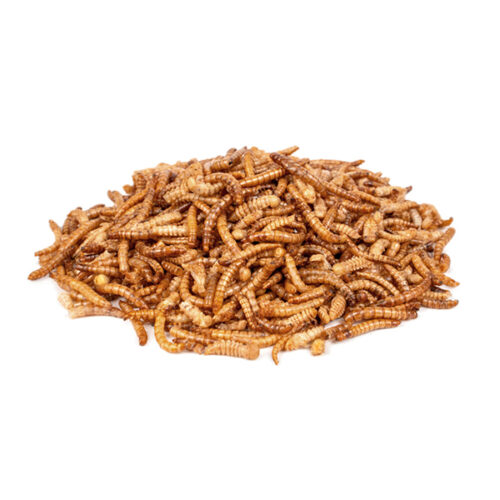 Deli Nature Chix Meelwormen Szárított Lisztkukac - 500g 01